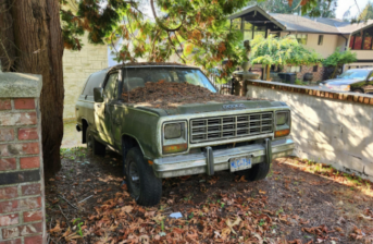 Photo courtesy of Pexels